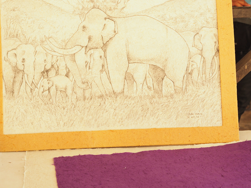 elephant dung paper