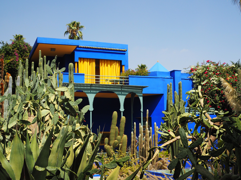 Majorelle garden must see Marrakech