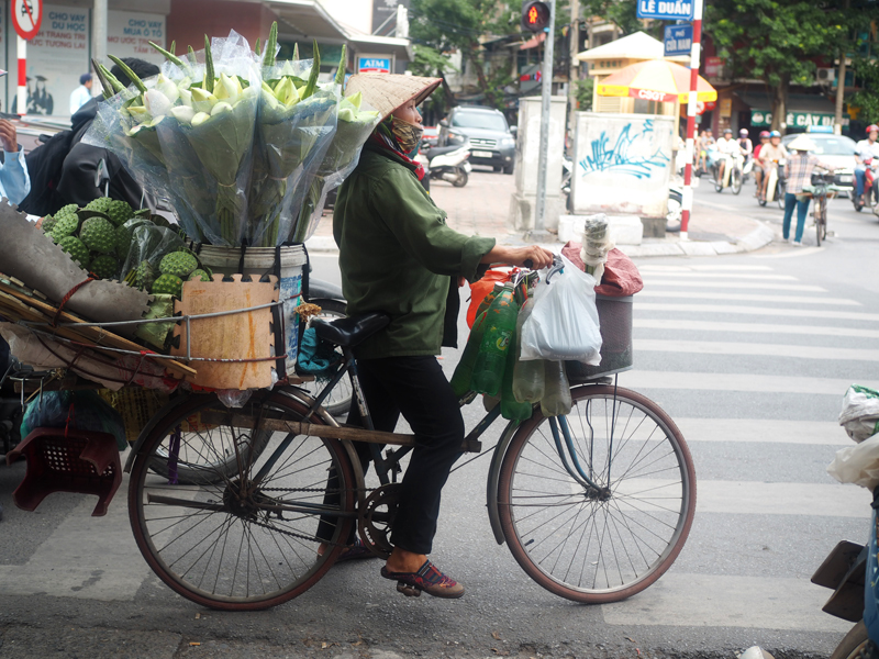 Pictures Hanoi old quarter bike vendor