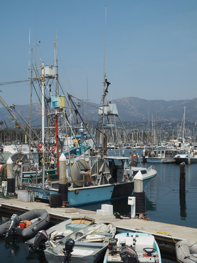 harbor in Santa Barbara California