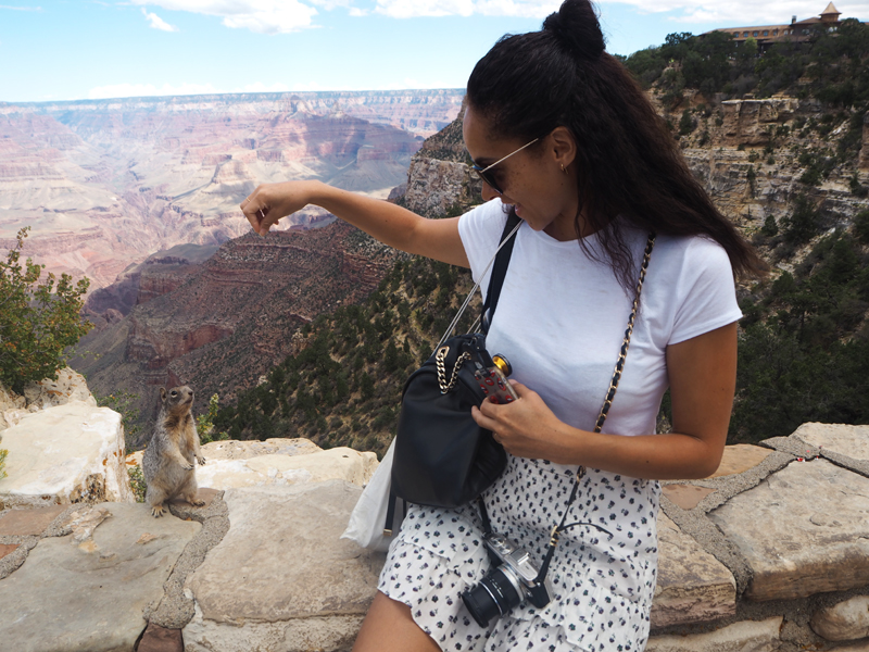 Travel blogger California road trip - In Arizona to see the grand canyon south rim