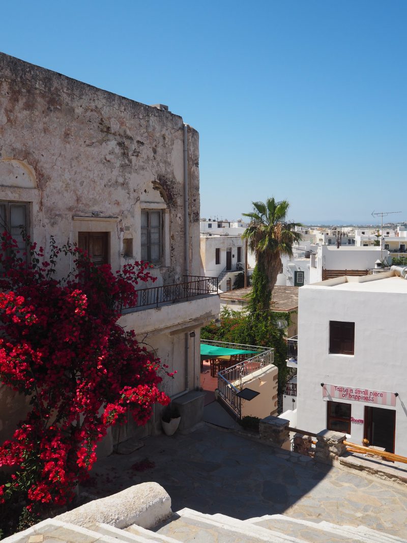Flowers Cyclades Island Naxos Greece