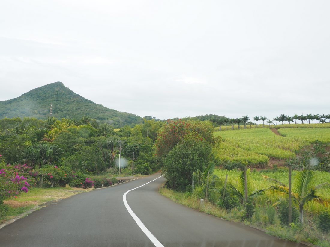 10 activities in Mauritius Mauritian Tea Route