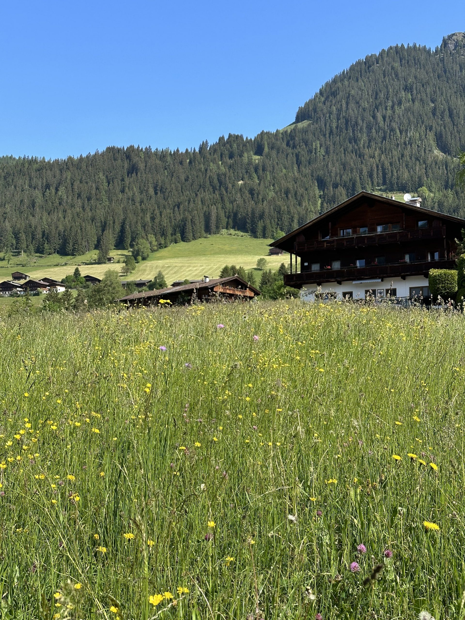 Summer with kids in Alpbachtal - Most beautiful village in Alpbachtal