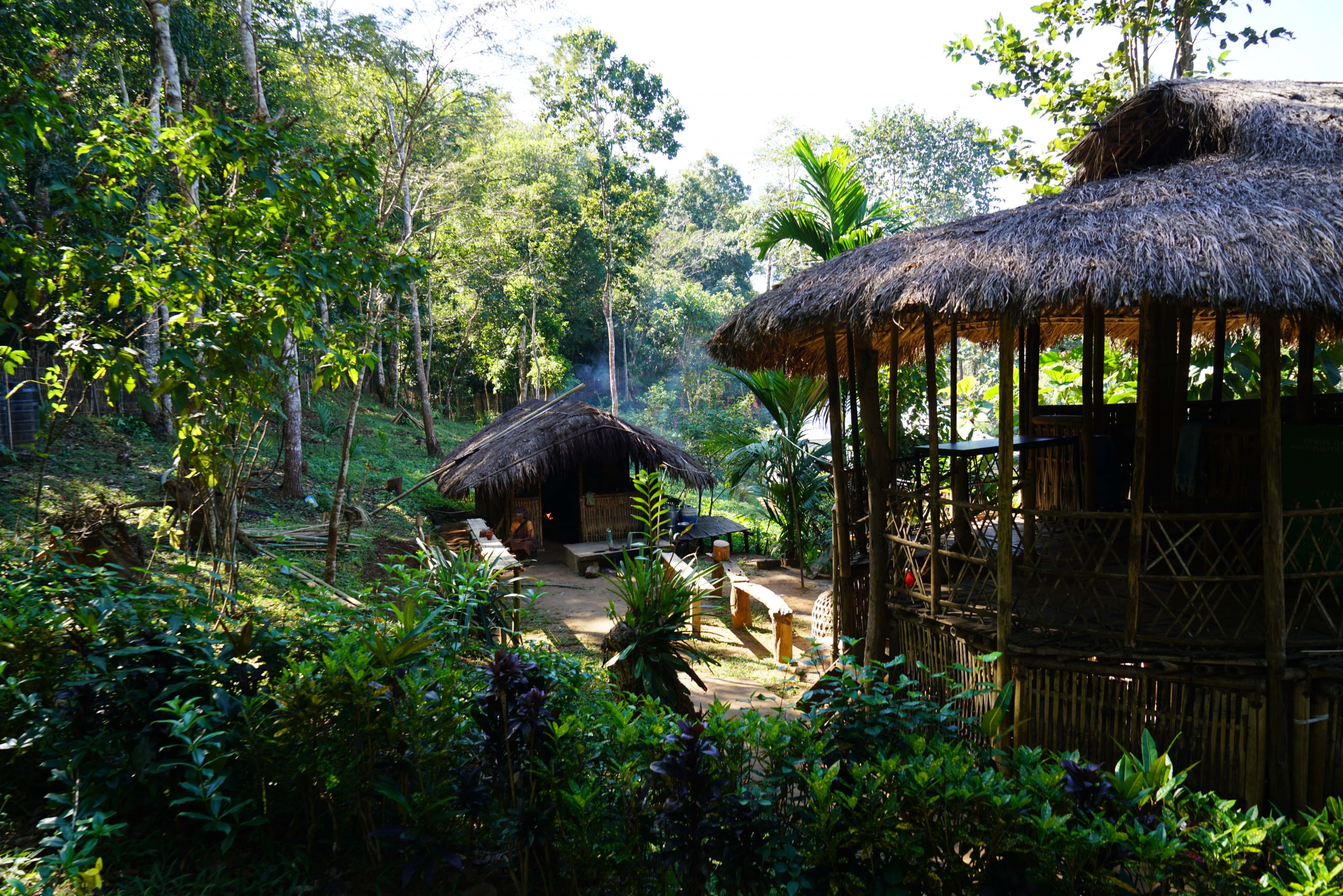 Houses in Umden Eri Silk Village