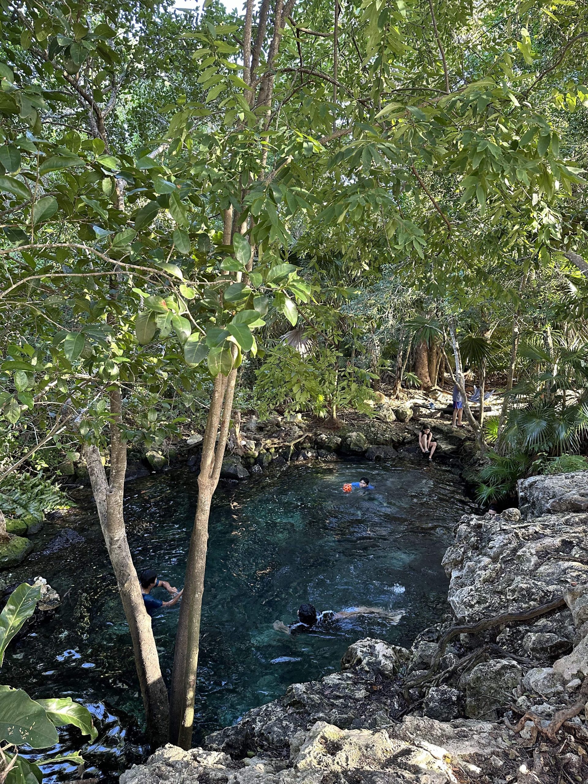 Cenotes in Tulum off the Beaten Path