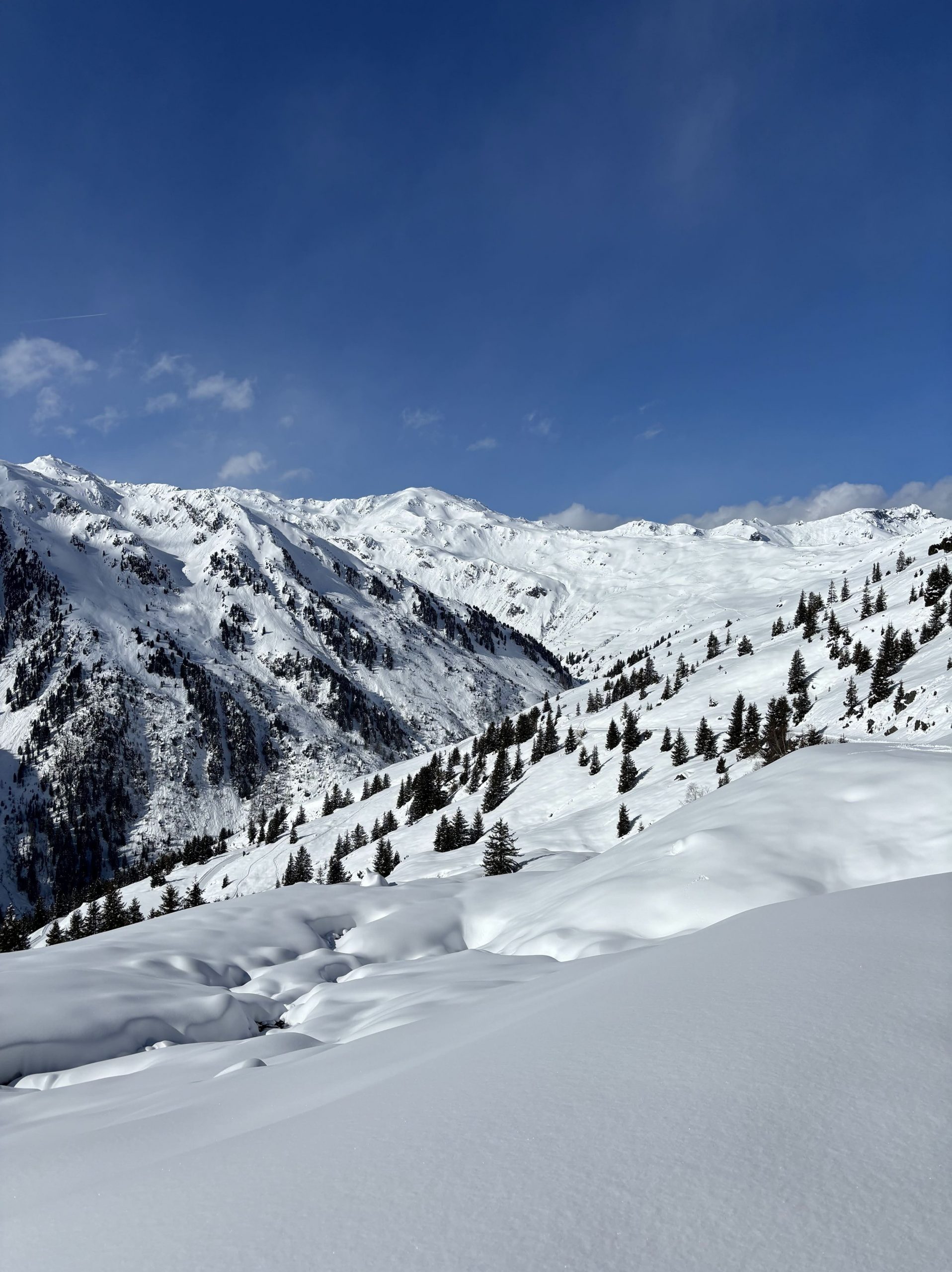 Ski panorama Zillertal 3000